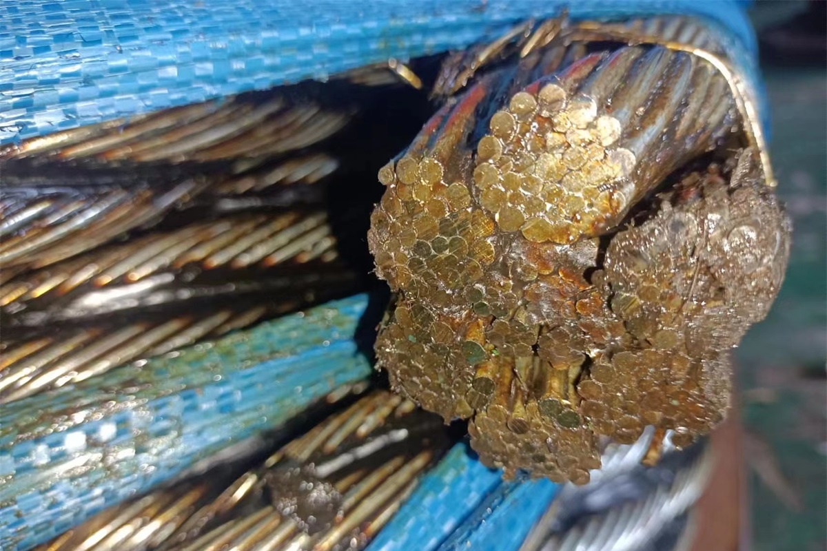 La struttura dell'IWRC della fune d'acciaio - Parte 2